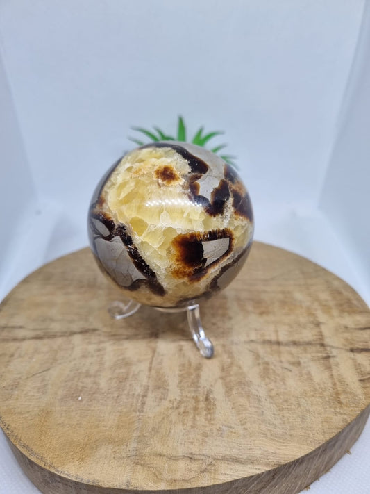 Septarian Sphere