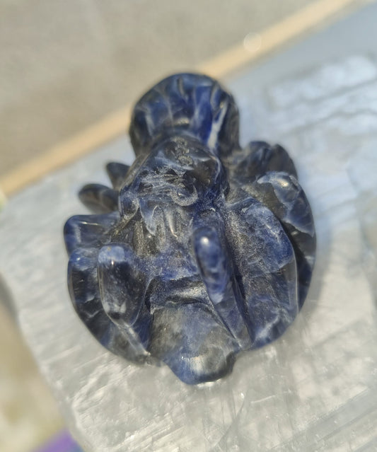 Sodalite Spider Carving