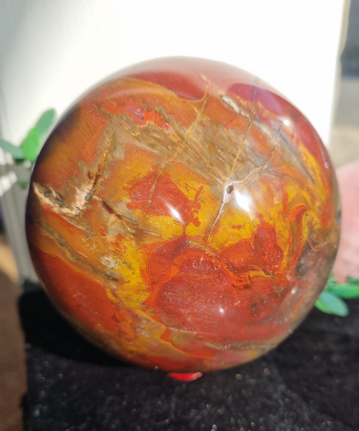 Petrified Wood with Druzy Large Sphere