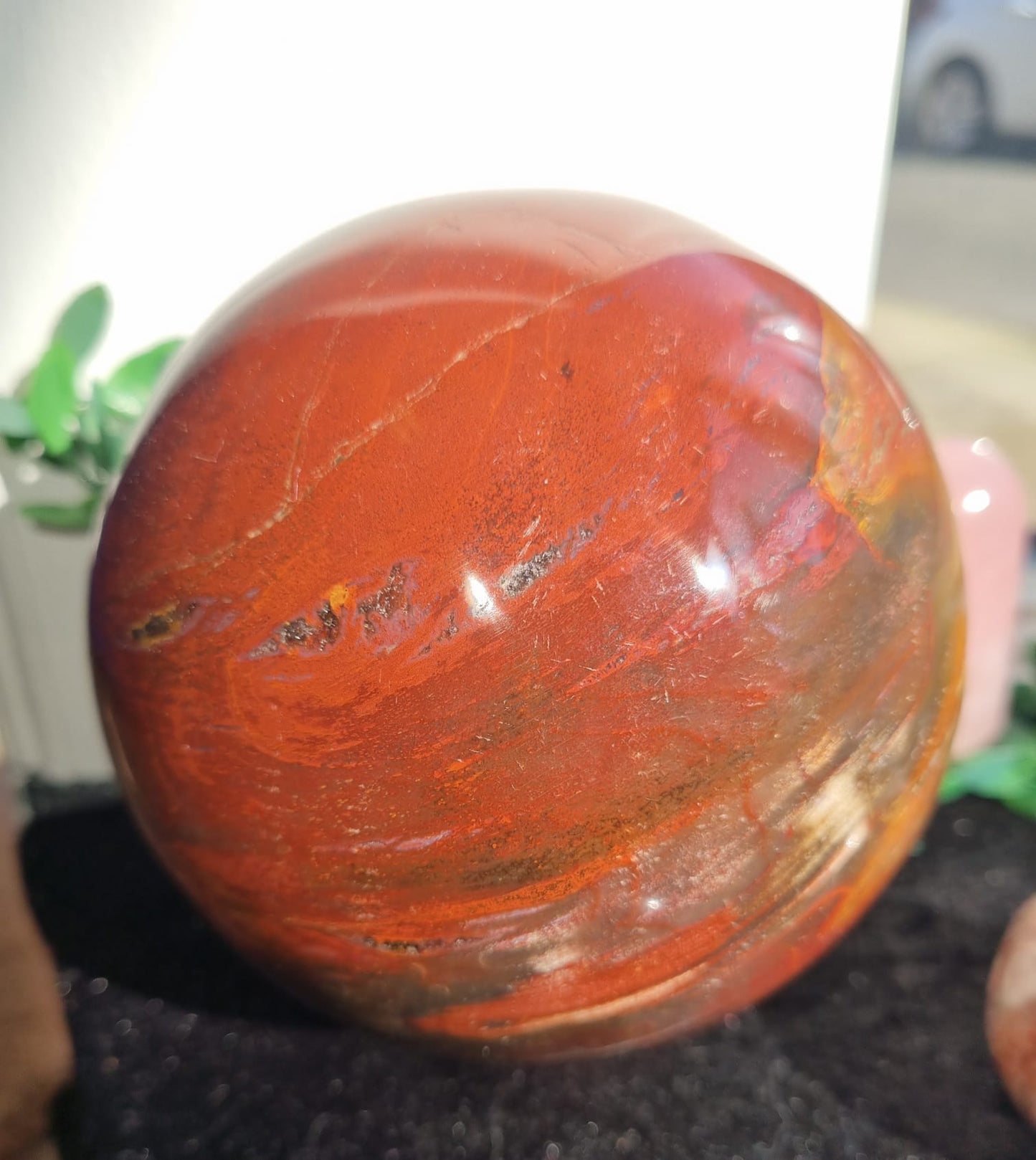 Petrified Wood with Druzy Large Sphere