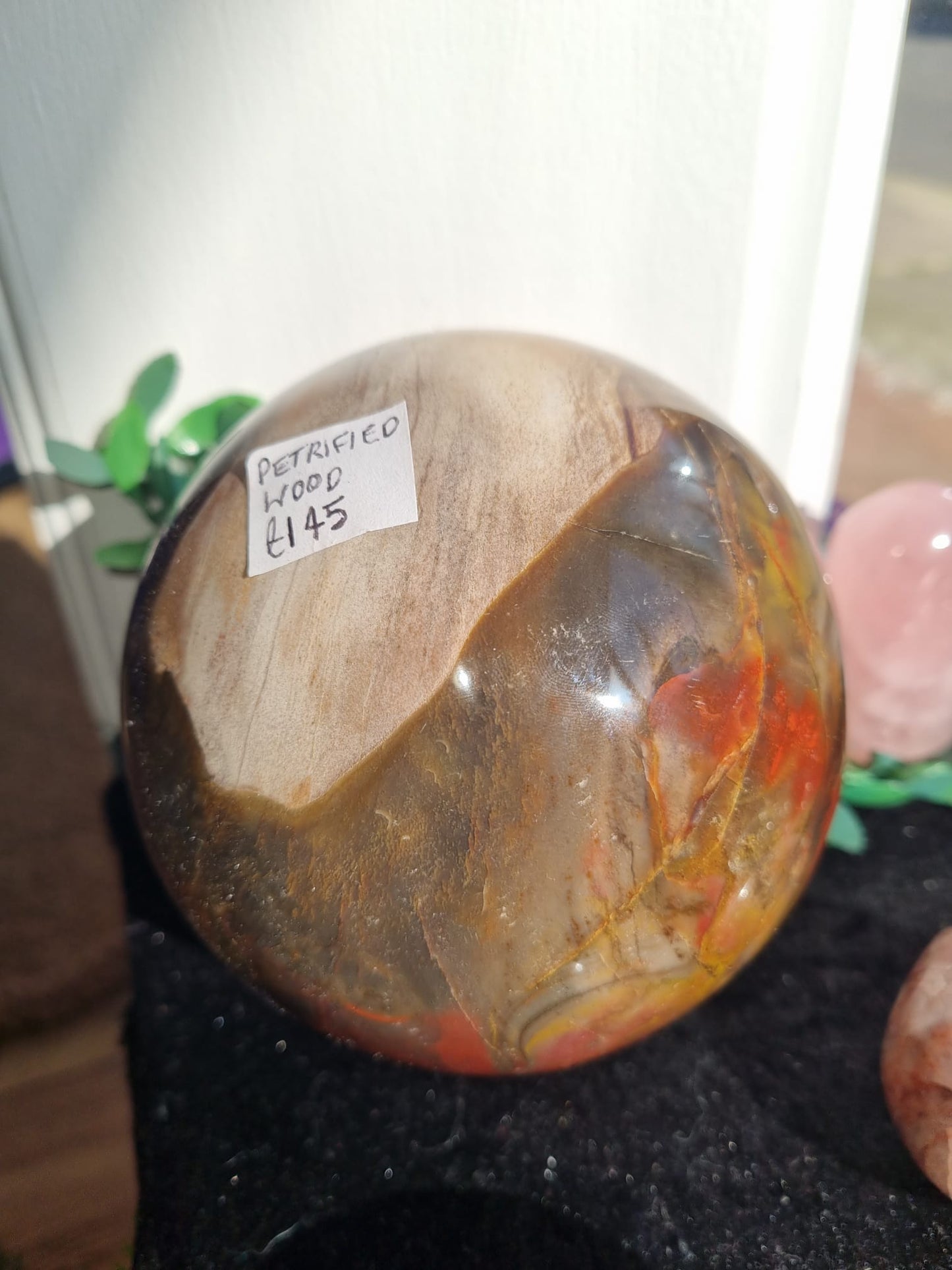 Petrified Wood with Druzy Large Sphere