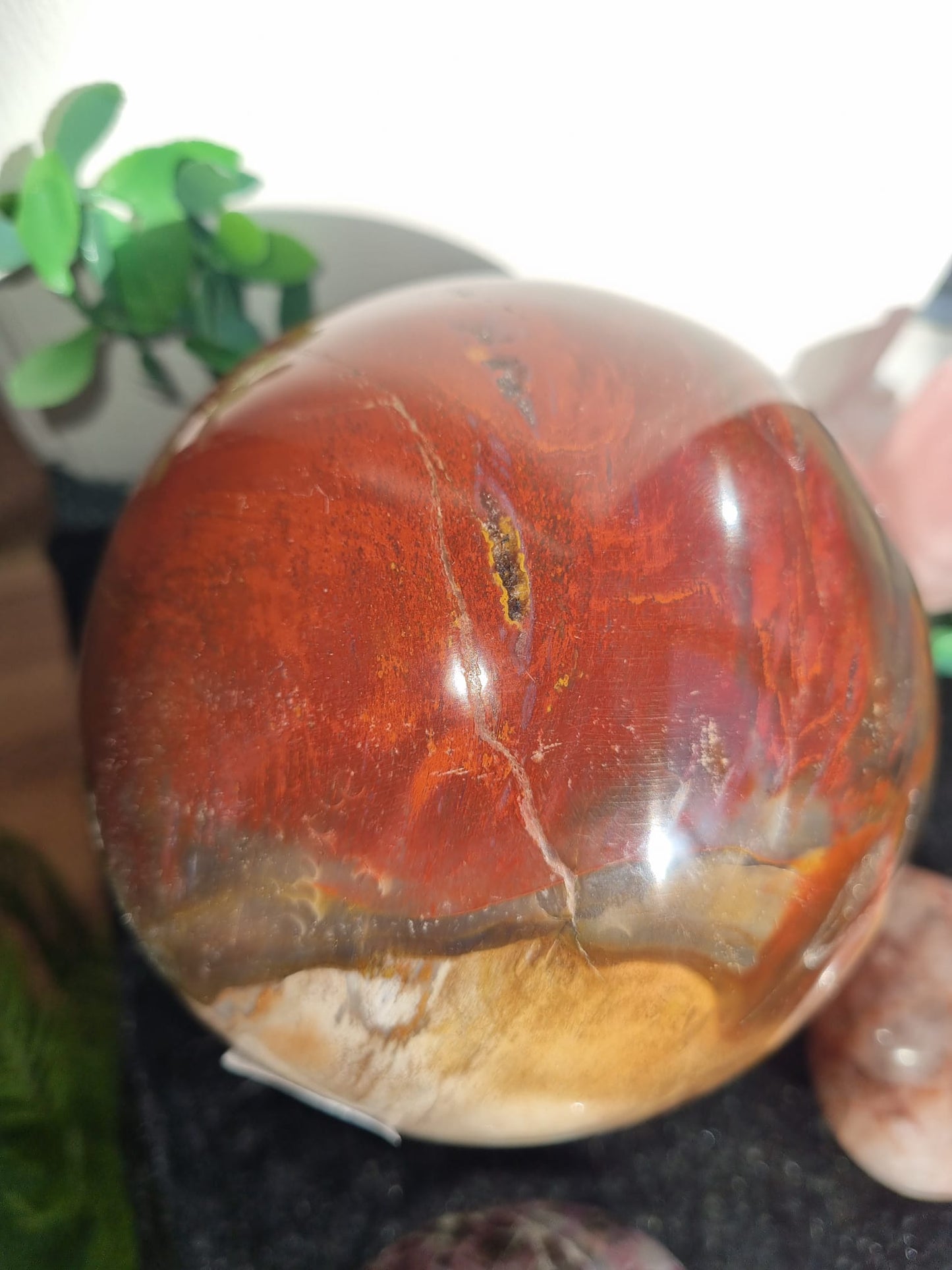 Petrified Wood with Druzy Large Sphere