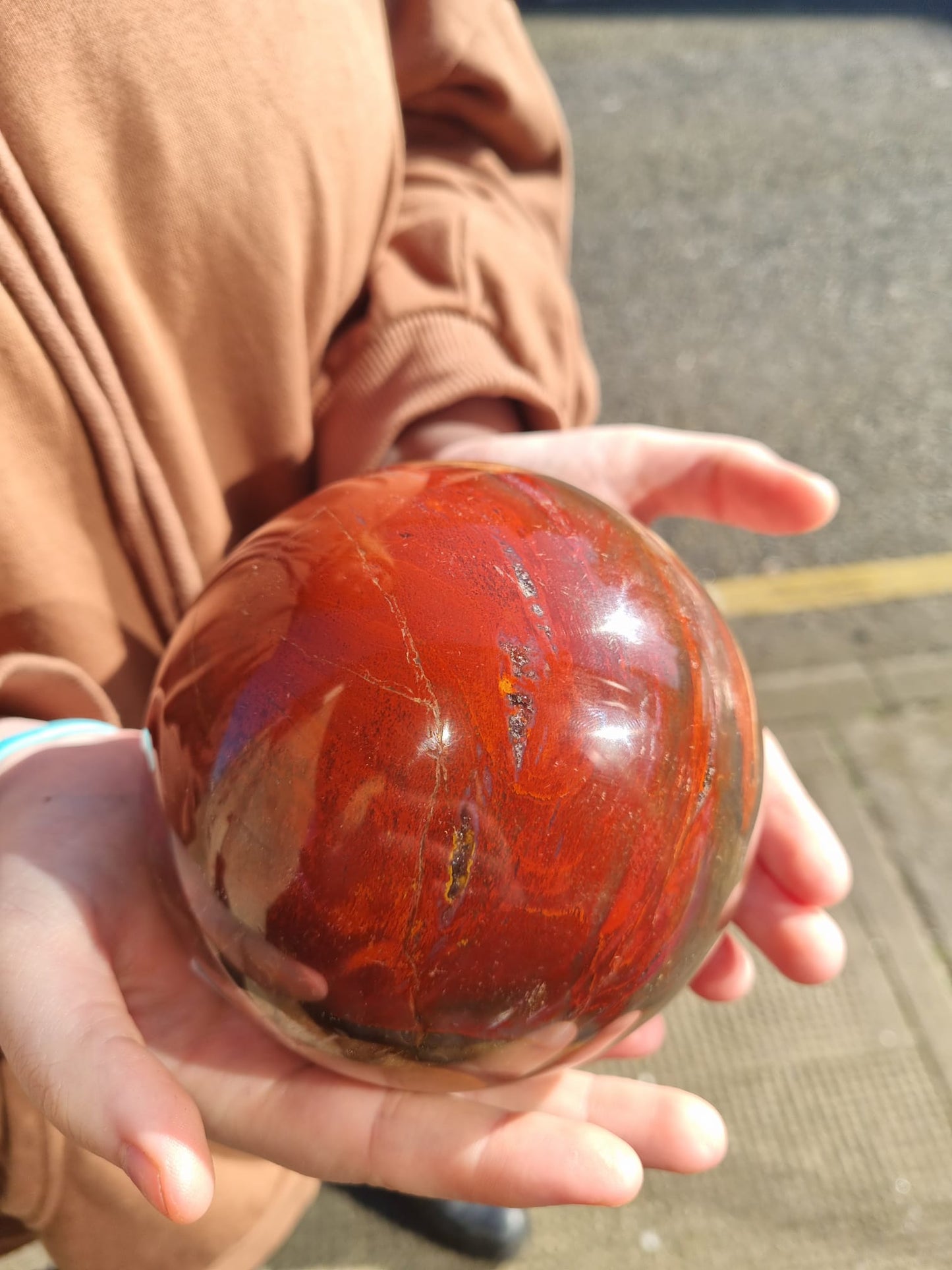 Petrified Wood with Druzy Large Sphere