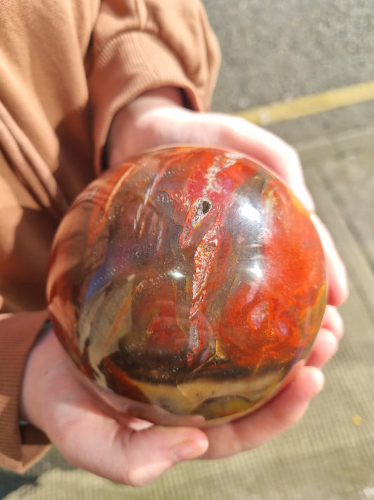 Petrified Wood with Druzy Large Sphere