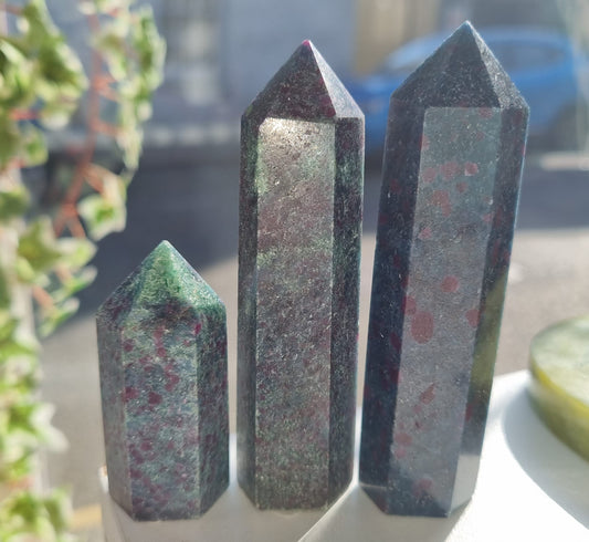 Ruby in Kyanite Point