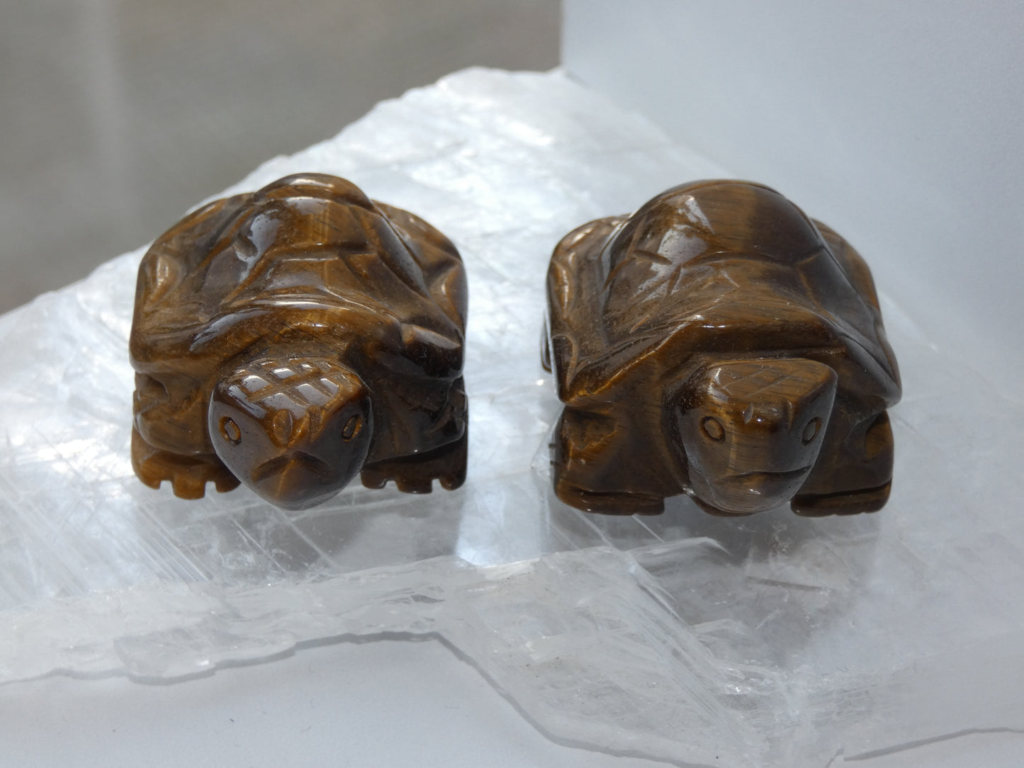 Tigers Eye Turtle Carving