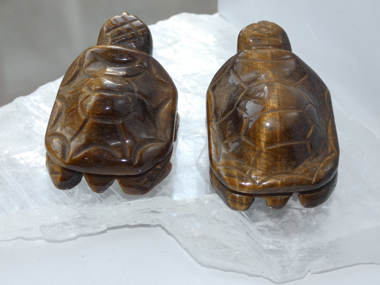 Tigers Eye Turtle Carving