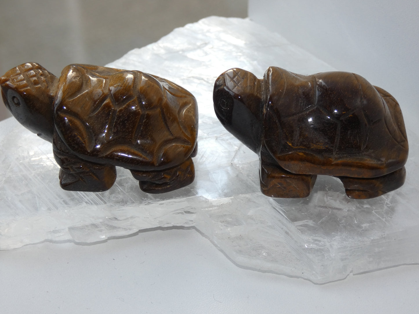 Tigers Eye Turtle Carving