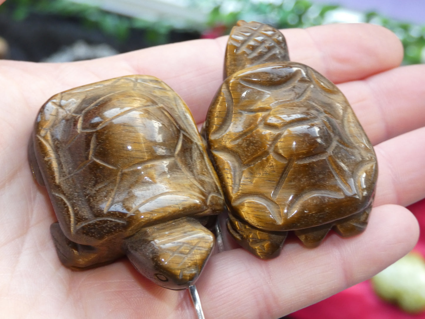Tigers Eye Turtle Carving